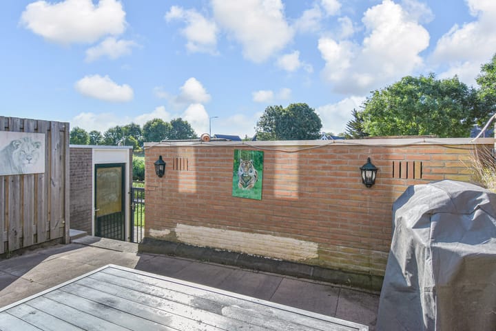 Photo 16 of Lobelia 4