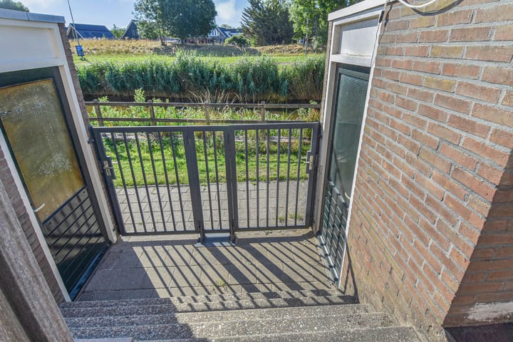 Photo 17 of Lobelia 4