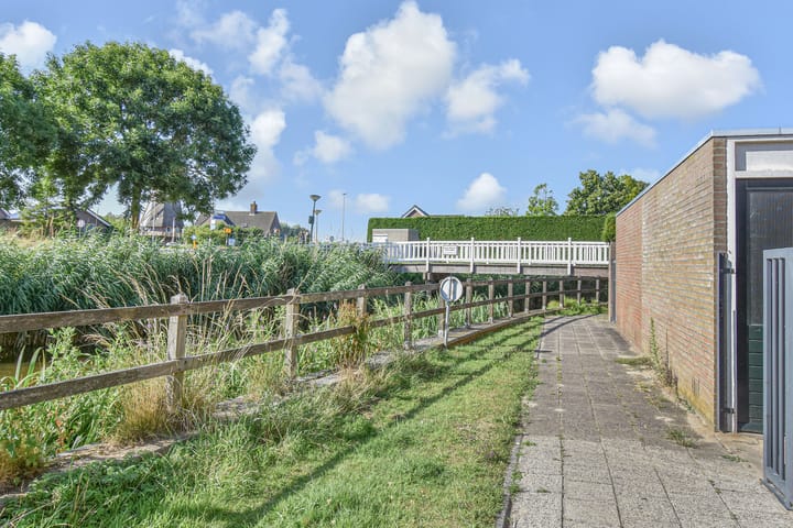 Photo 18 of Lobelia 4