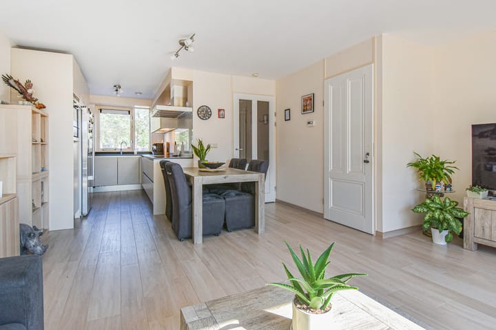 Photo 21 of Lobelia 4