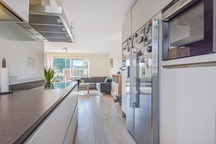 Photo 25 of Lobelia 4