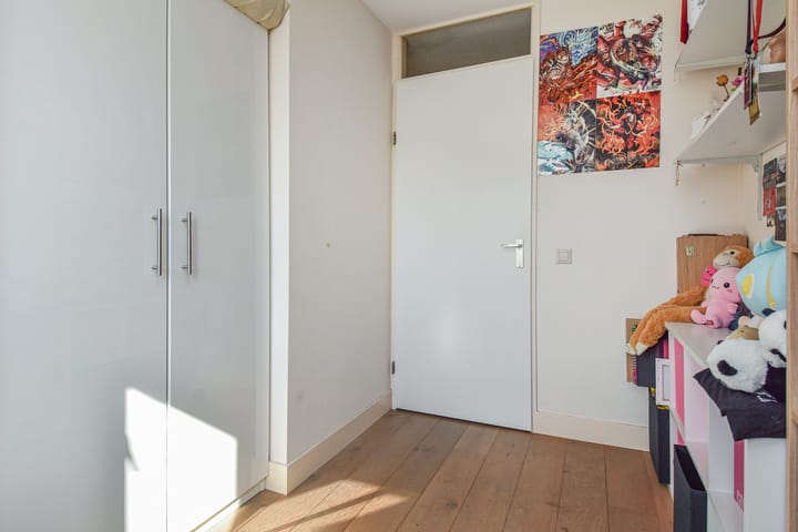 Photo 29 of Lobelia 4