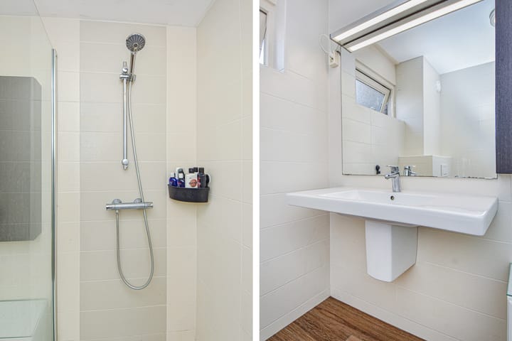 Photo 35 of Lobelia 4