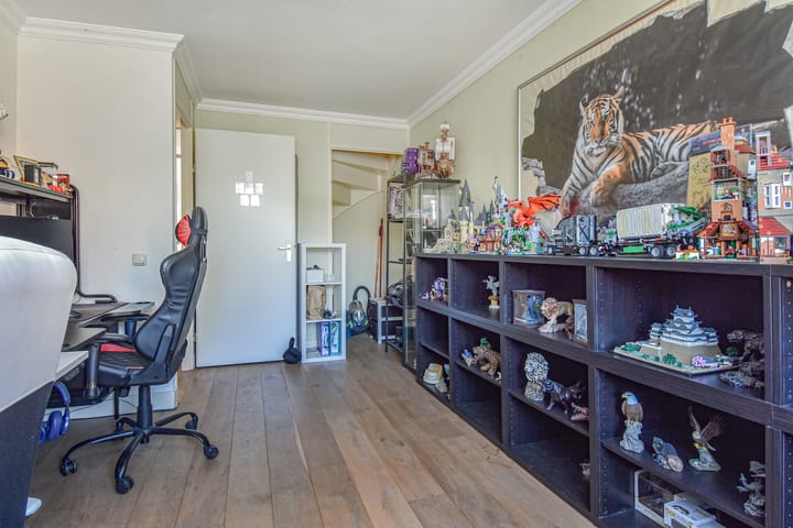 Photo 36 of Lobelia 4