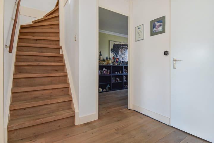 Photo 38 of Lobelia 4