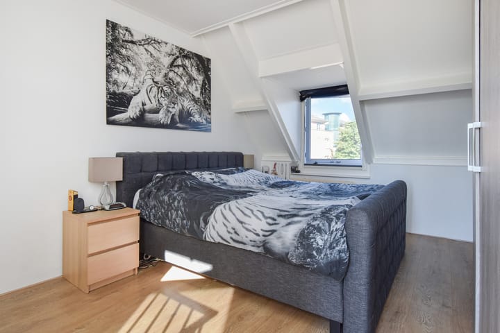 Photo 39 of Lobelia 4