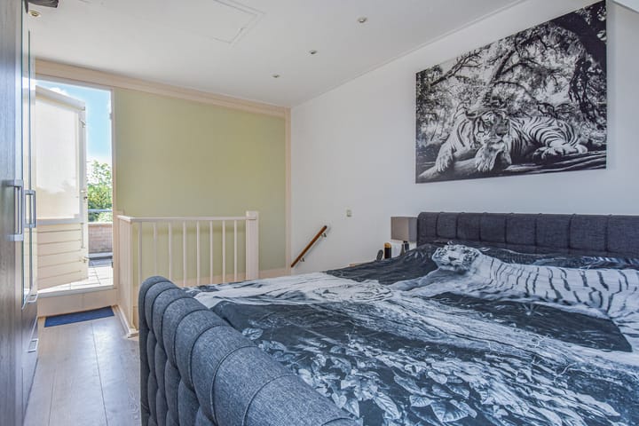 Photo 41 of Lobelia 4