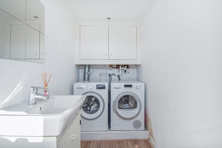 Photo 42 of Lobelia 4