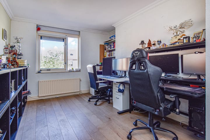 Photo 37 of Lobelia 4