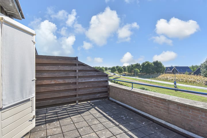 Photo 44 of Lobelia 4