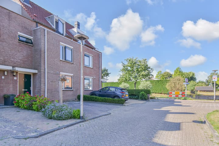 Photo 46 of Lobelia 4