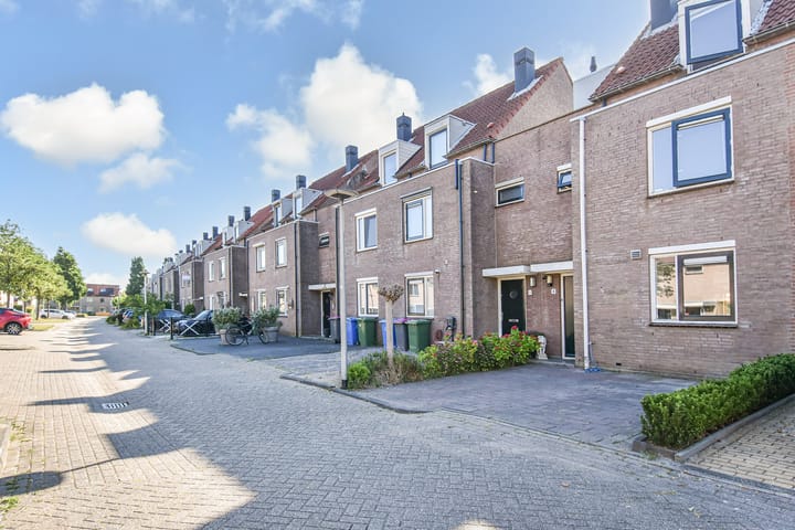 Photo 47 of Lobelia 4