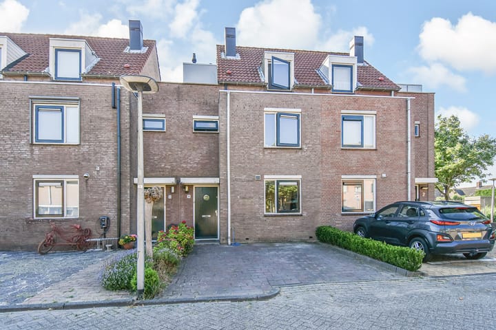 Photo 48 of Lobelia 4