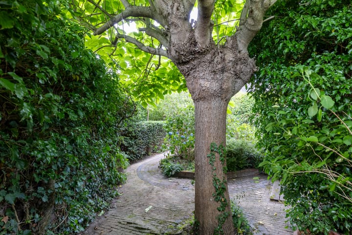 Foto 33 van Akkerpad 29