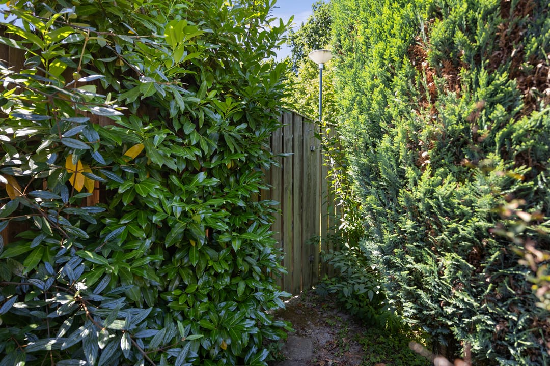 Foto 46 van Sassenheimseweg 8