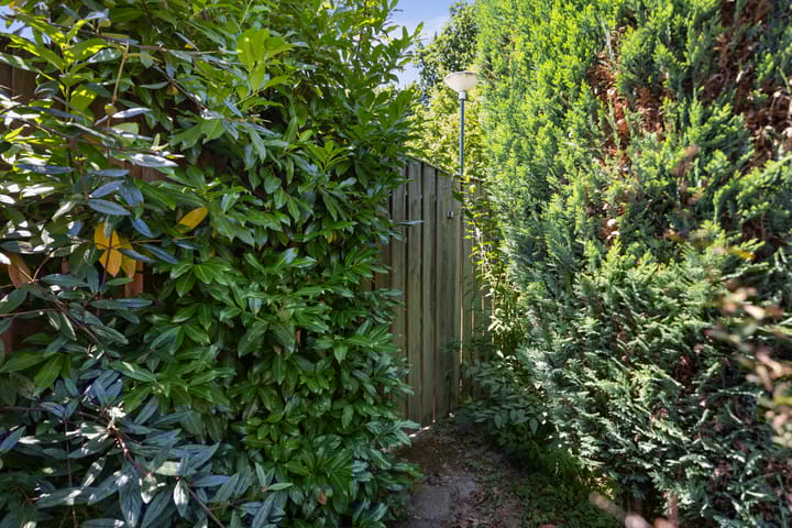 Foto 46 van Sassenheimseweg 8