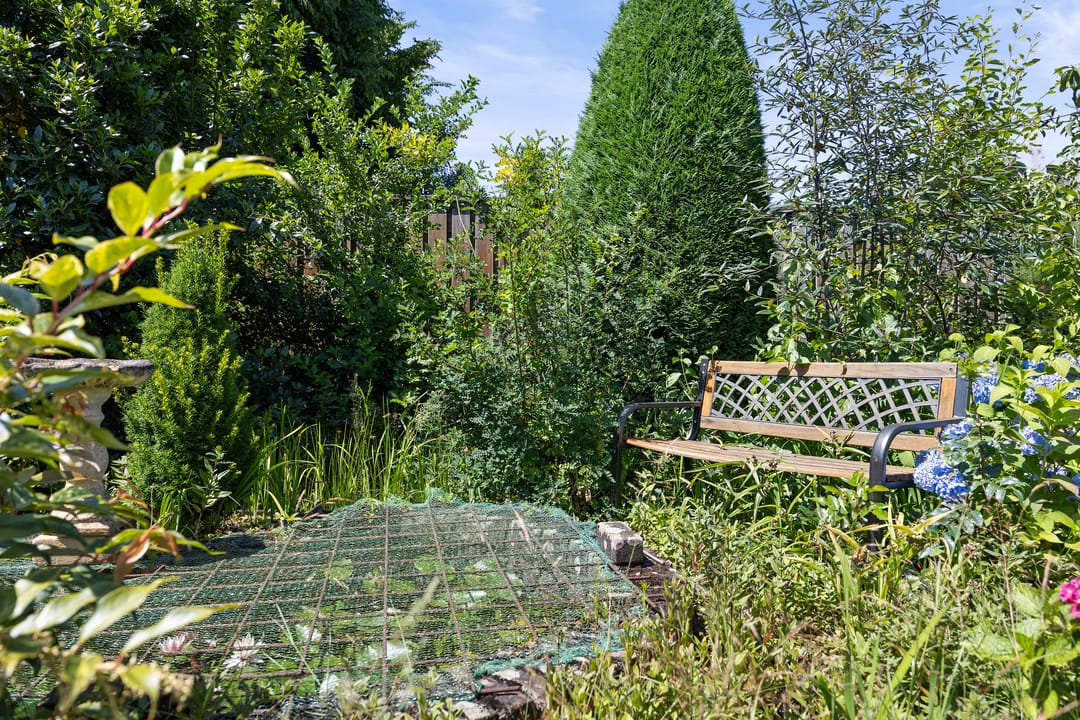 Foto 47 van Sassenheimseweg 8