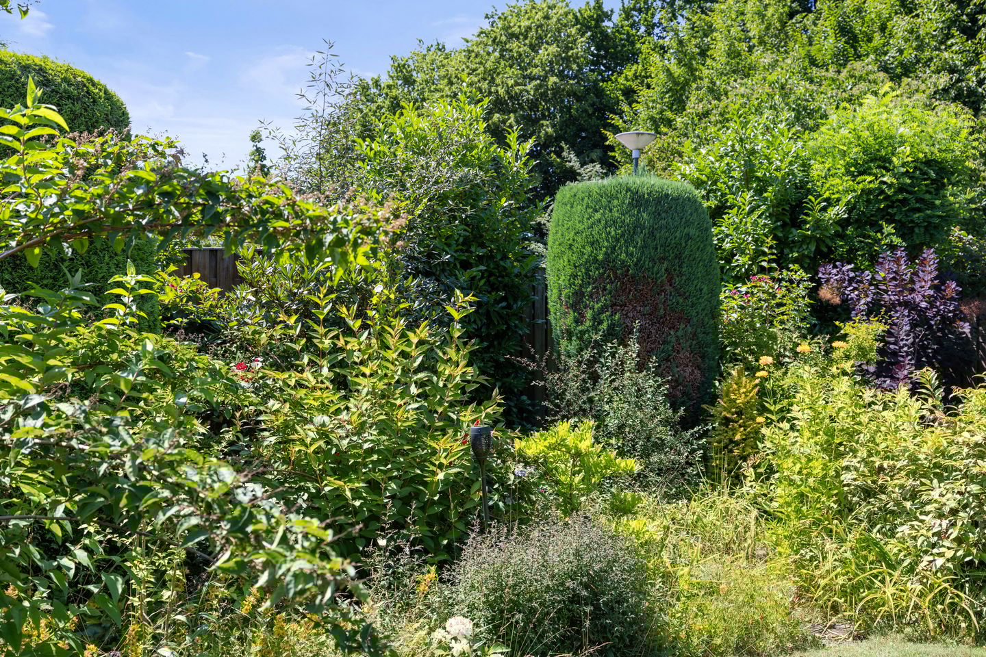 Foto 49 van Sassenheimseweg 8