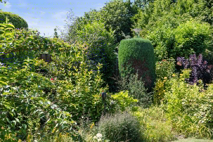 Foto 49 van Sassenheimseweg 8