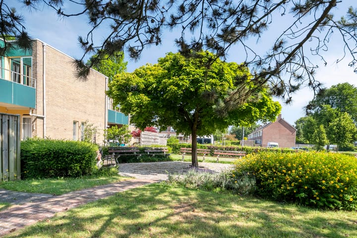 Foto 22 van Westerzicht 637