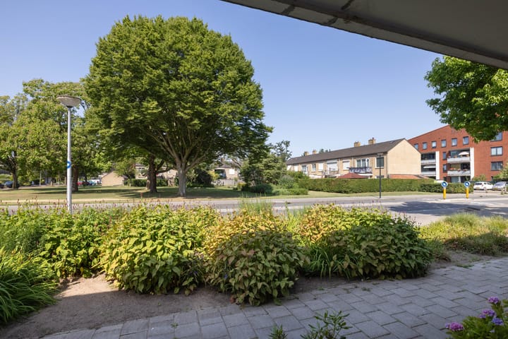 Foto 27 van S.L. Louwesstraat 165