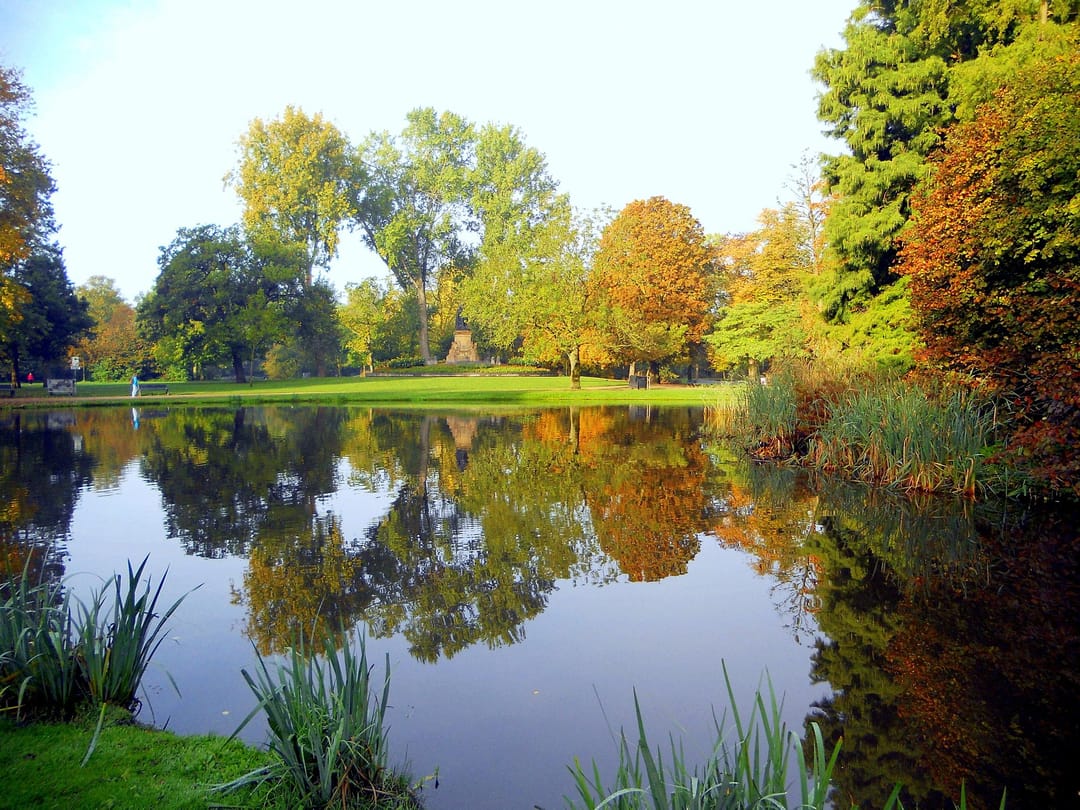 Photo 16 of Tweede Schinkelstraat 14-1