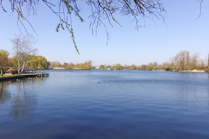 Foto 26 van Willem van Hillegaersbergstraat 141-A