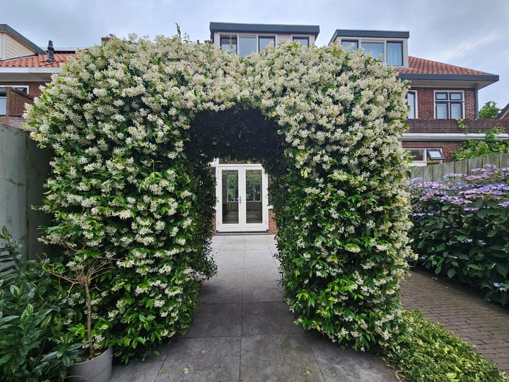 Foto 9 van Vergierdeweg 189