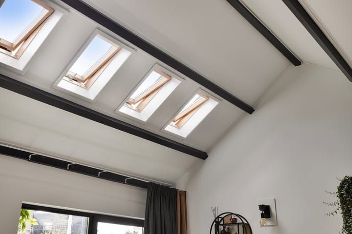 Foto 10 van Hertenkruid 38