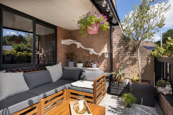 Foto 20 van Hertenkruid 38