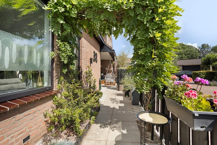 Foto 24 van Hertenkruid 38