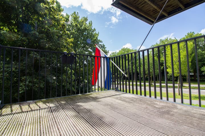 Foto 50 van Zandsteen 17