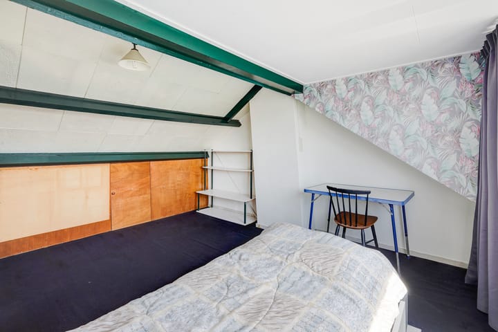 Foto 29 van van Haemstedestraat 22