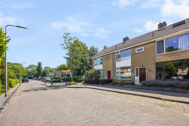 Foto 34 van van Haemstedestraat 22