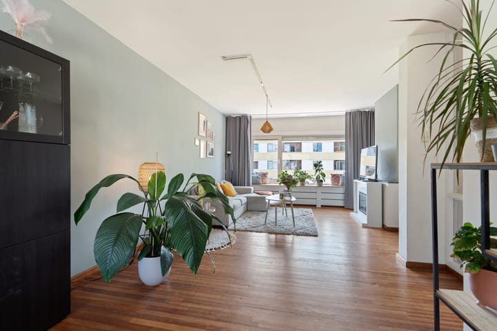 Foto 13 van Professor Hoogveldstraat 13