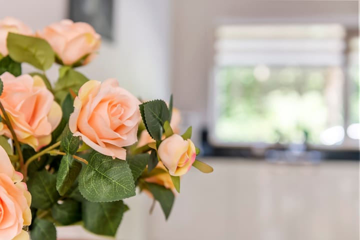 Photo 13 of Gallencamp 24