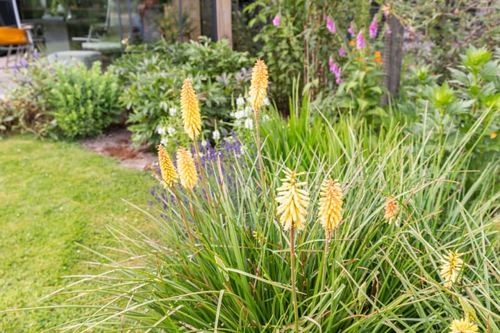 Foto 51 van Emperweg 27