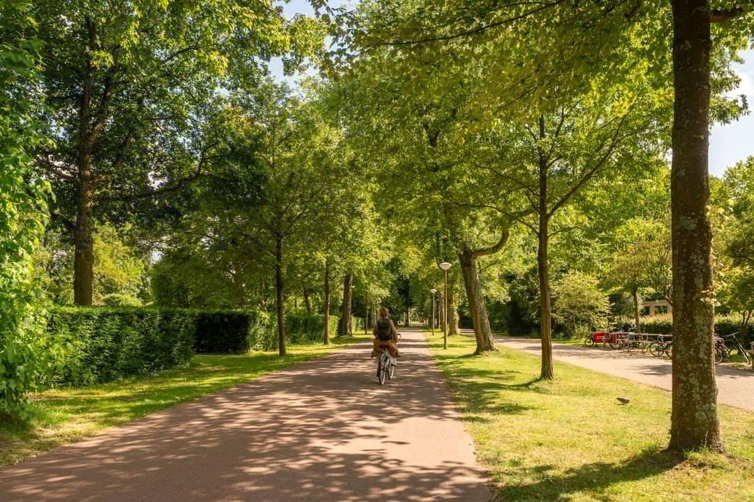 Foto 26 van Diezestraat 22-1