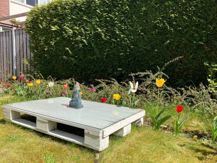 Foto 34 van Rijnland 161