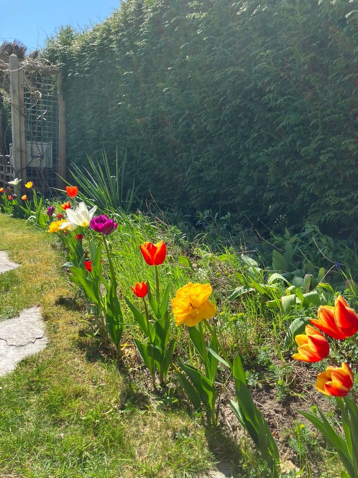 Foto 36 van Rijnland 161