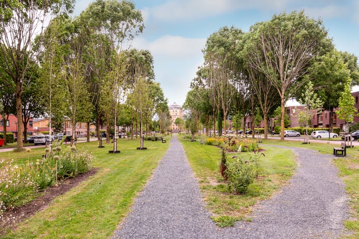 Foto 42 van Rijnland 161