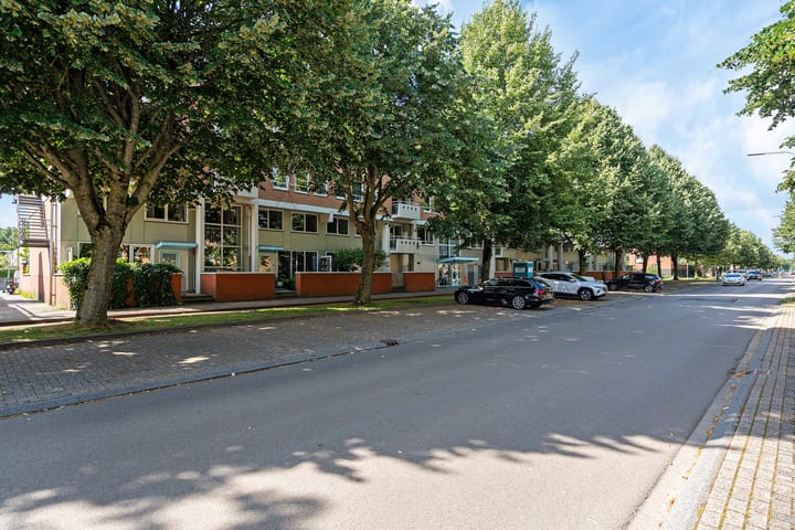 Foto 25 van S.O.J. Palmelaan 255