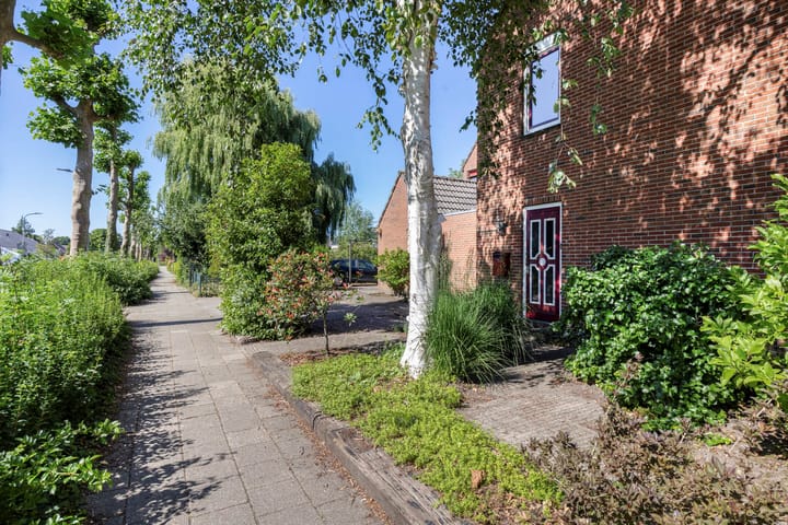 Foto 9 van Duijvenbrug 11