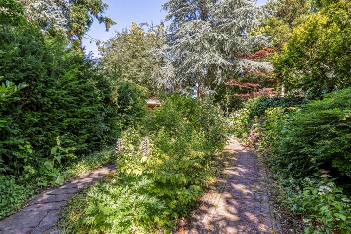 Foto 46 van Duijvenbrug 11