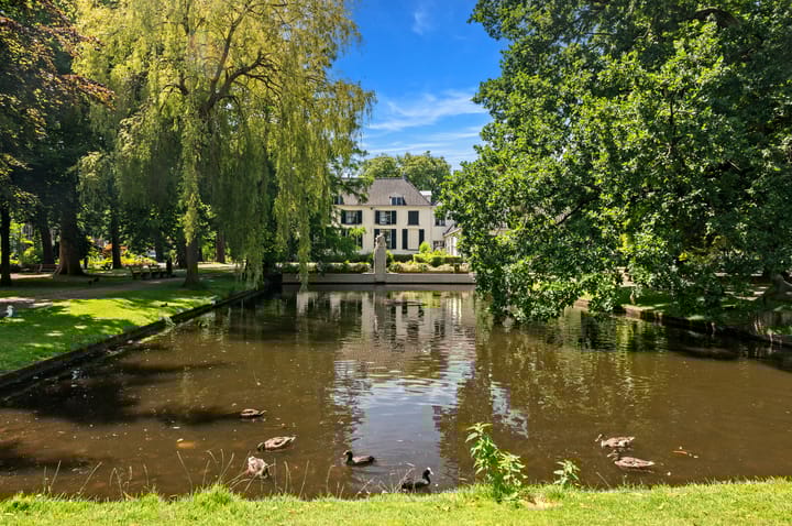 Foto 35 van Dahliastraat 32