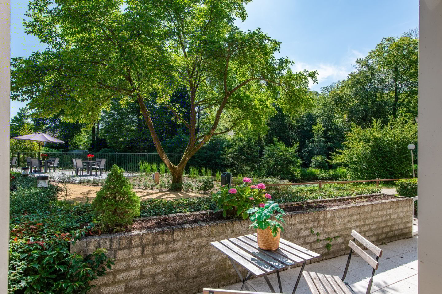 Foto 19 van Park Boswijk 533