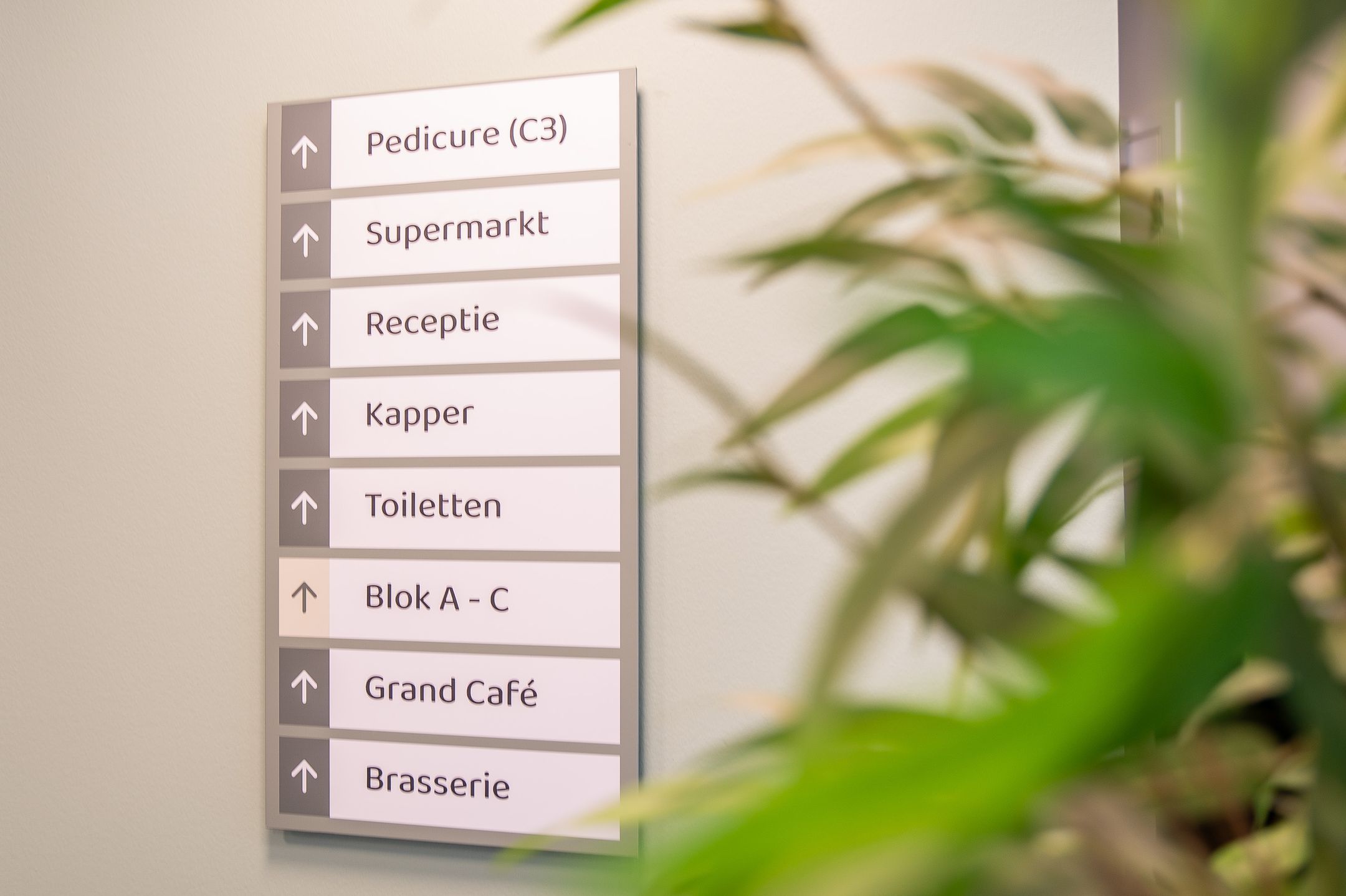 Foto 30 van Park Boswijk 533