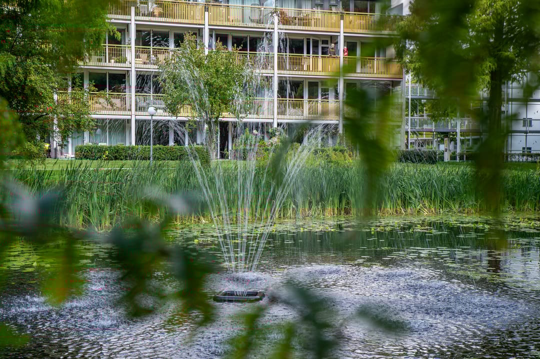 Foto 38 van Park Boswijk 533