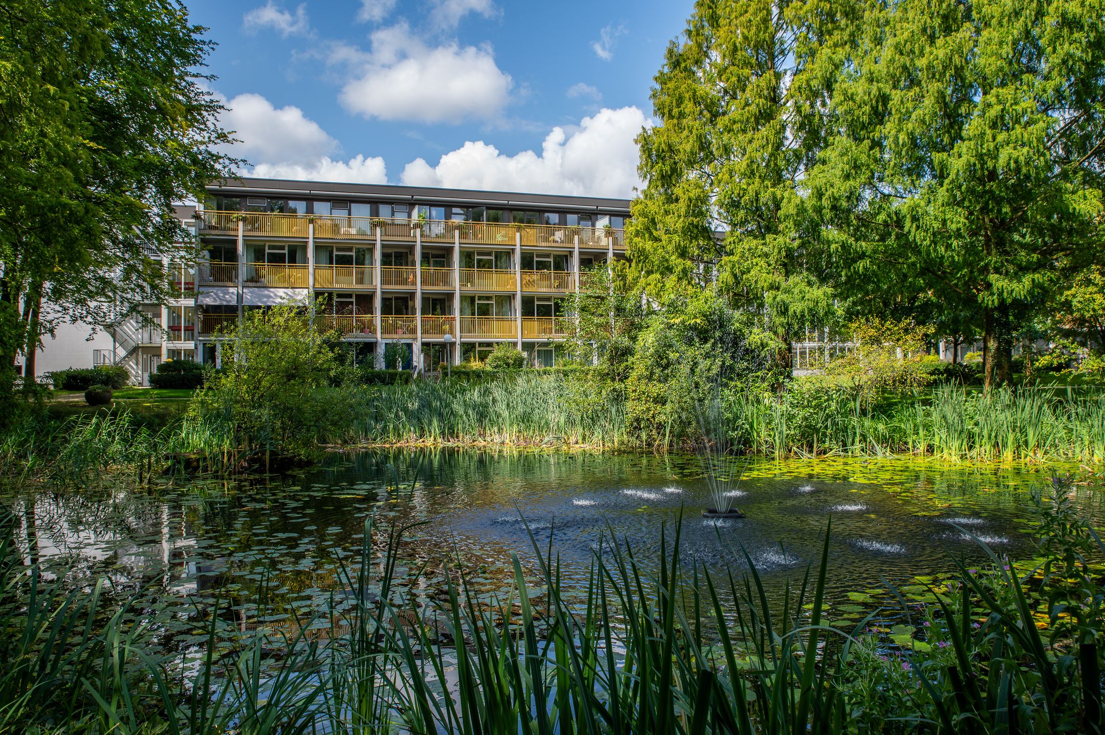 Foto 39 van Park Boswijk 533