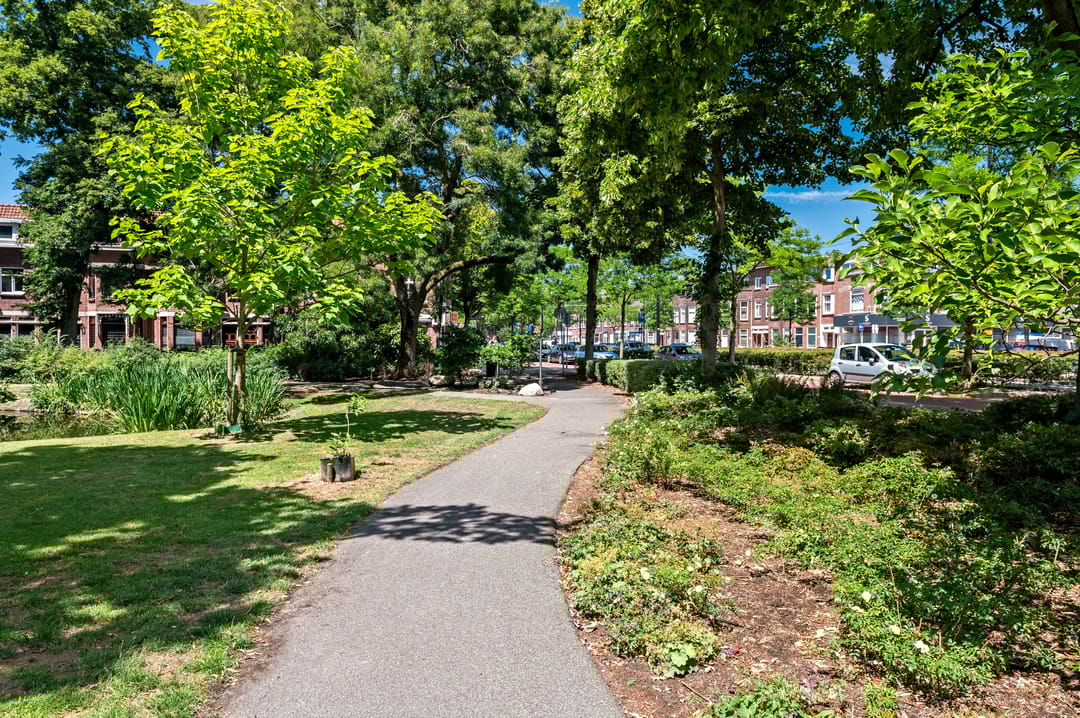 Photo 46 of Dahliastraat 42